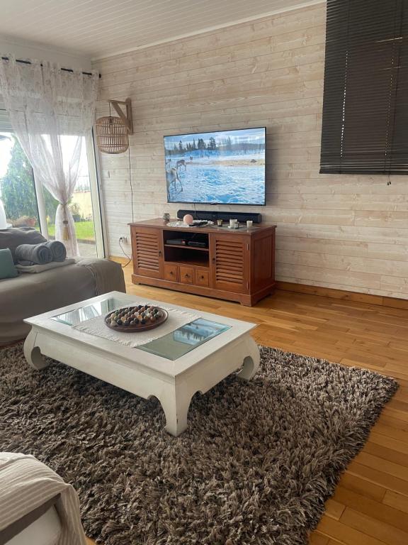 TV a/nebo společenská místnost v ubytování Villa Volcanik