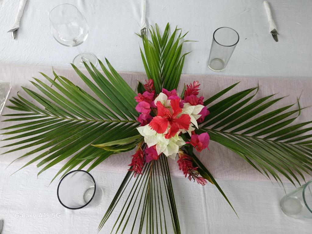 Fotografie z fotogalerie ubytování Amapola Rooms v destinaci Cahuita