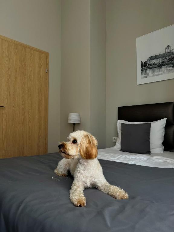 Joyinn Aparthotel - Resim 22