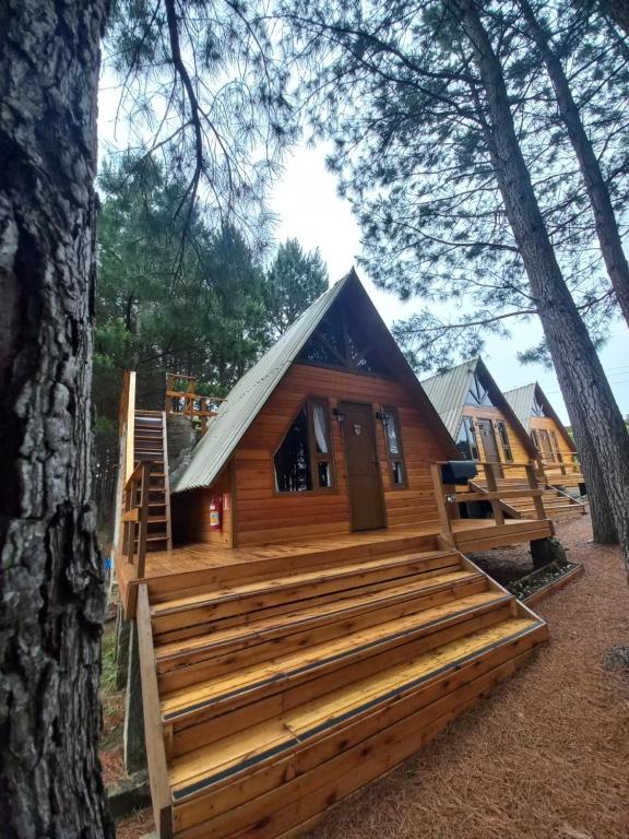 a cabin in the woods with a large tree at Estalagem Refúgio do Capão in Cambara do Sul