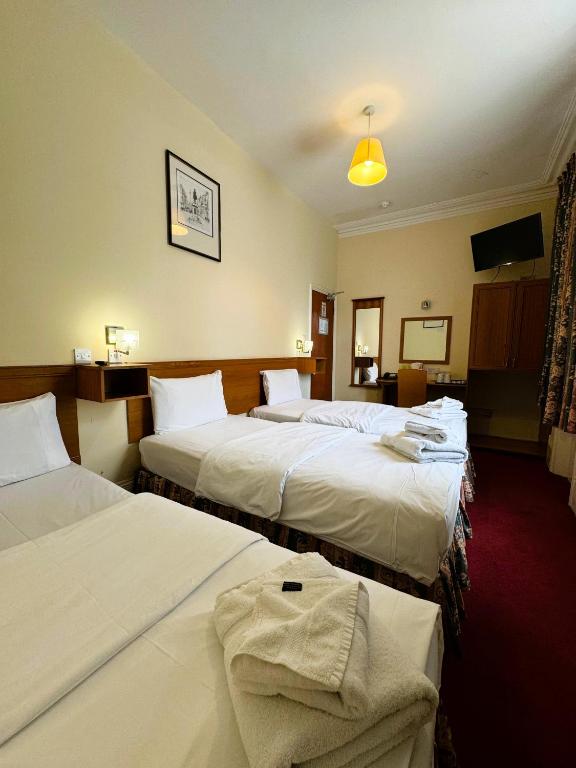 Bridge Park Hotel - Resim 41