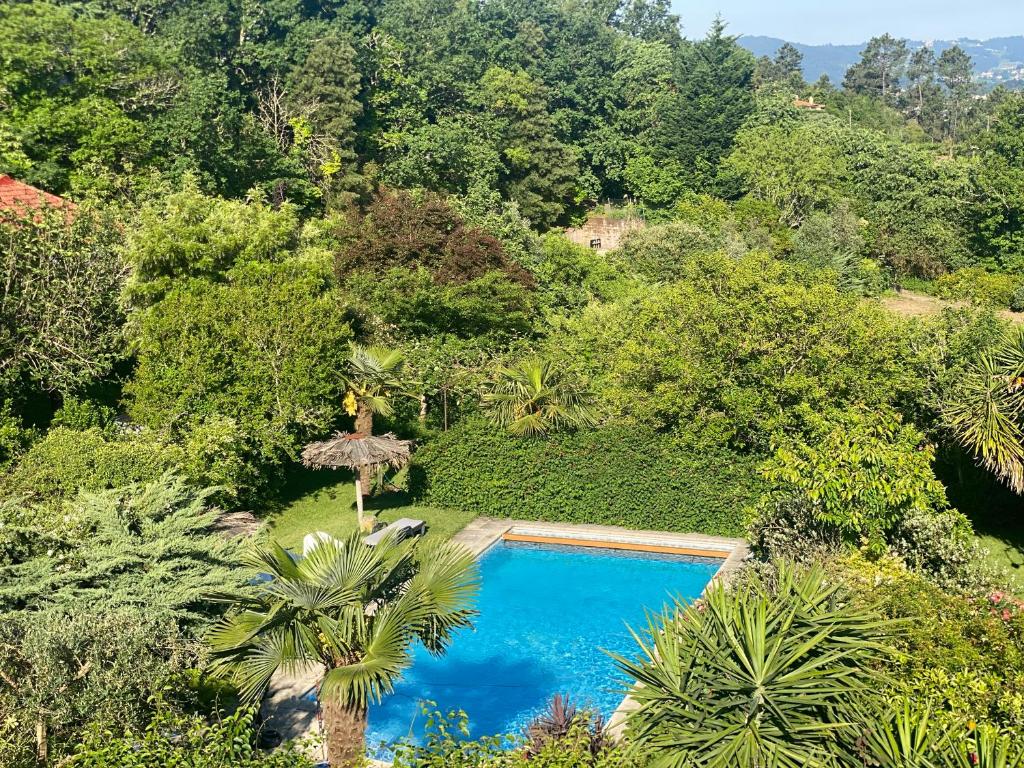 an overhead view of a swimming pool in a forest at Quinta de Ribas in Amarante
