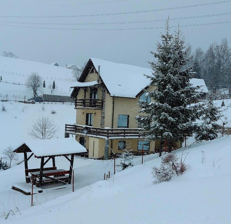 een huis met een kerstboom in de sneeuw bij La Kaifas in Fundata