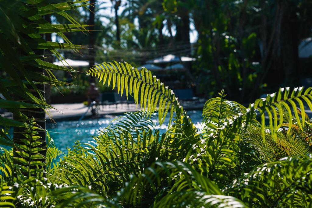 The swimming pool at or close to Hotel Huerto del Cura