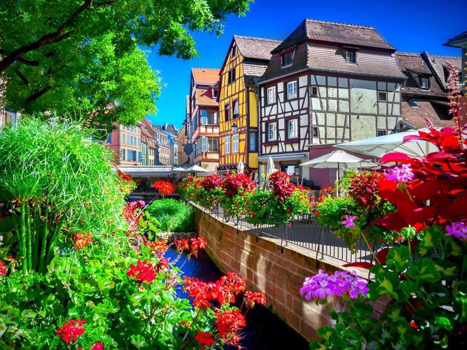 Zahrada ubytování Plaisirs d'Alsace - Munster - Colmar - Route du vin