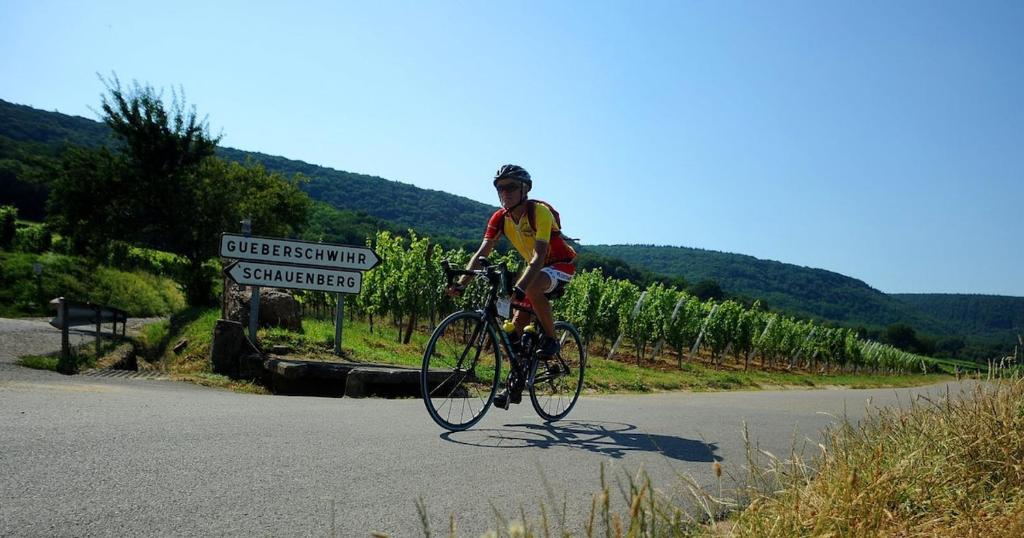 Hosté ubytování Plaisirs d'Alsace - Munster - Colmar - Route du vin
