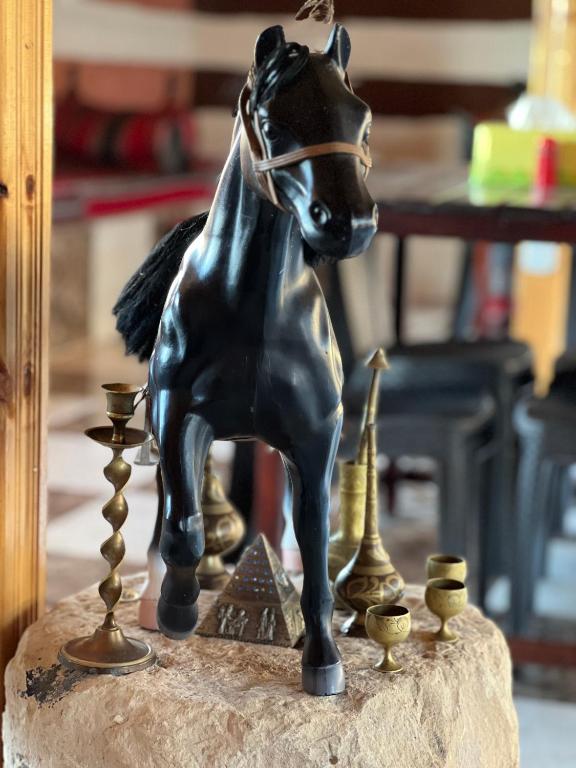 Fotografie z fotogalerie ubytování Petra Royal Ranch v destinaci Wadi Musa