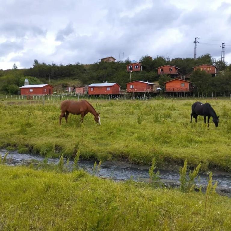 Cabañas Santa Flavia