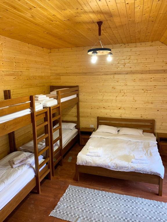 Postel nebo postele na pokoji v ubytování Pensiunea Vânătorul