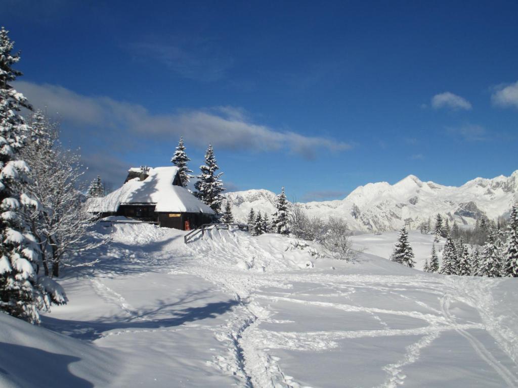 Chalet Tisa Velika Planina v zimě