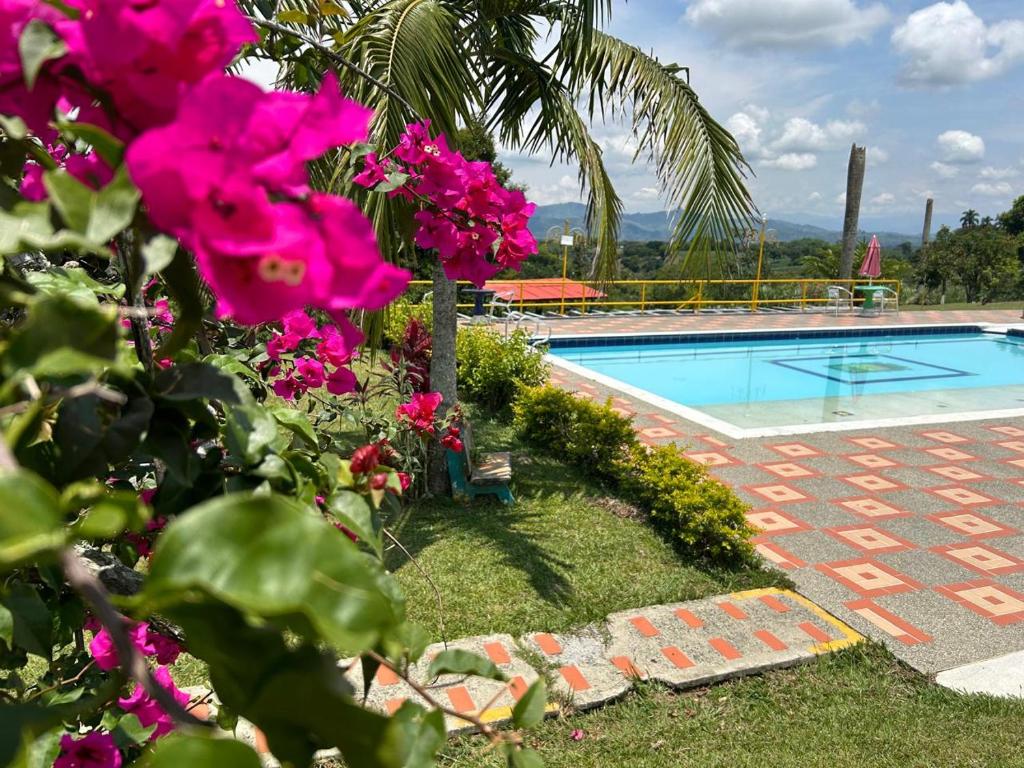 Bazén v ubytování FINCA HOTEL TRADICION CAFETERA nebo v jeho okolí