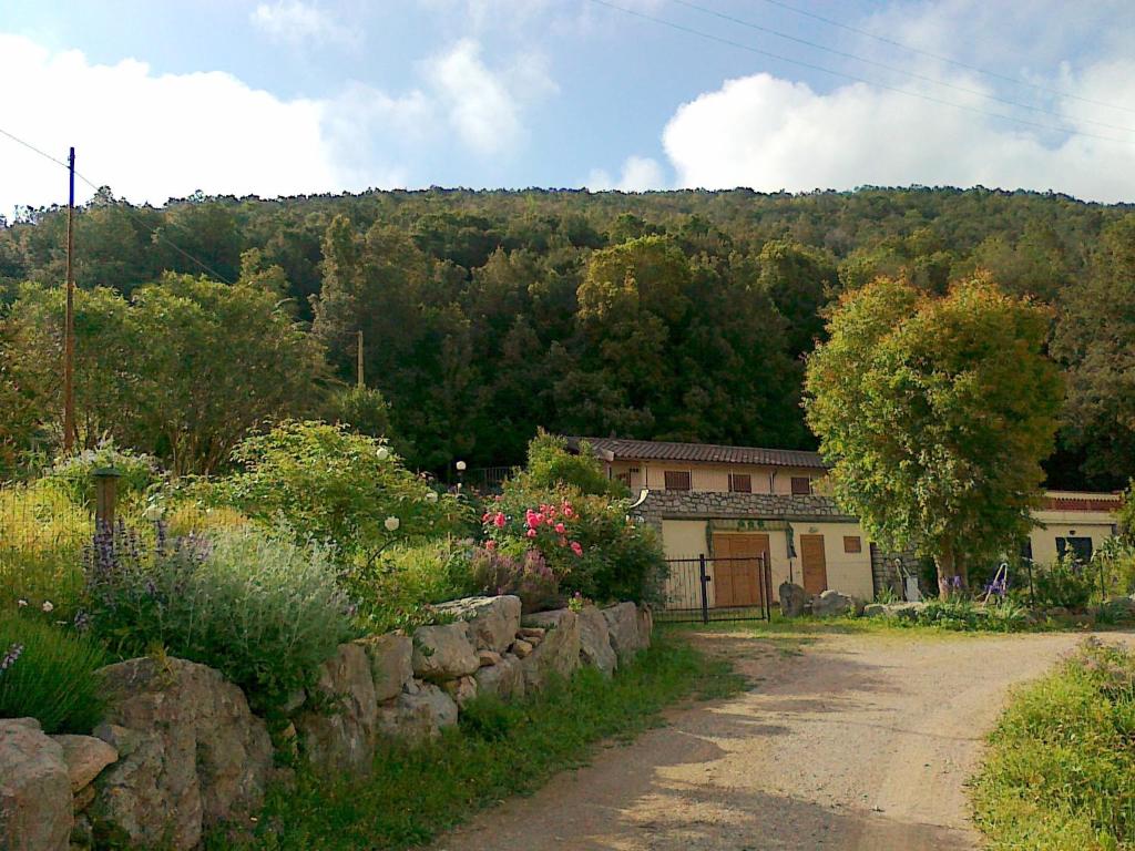 a garden with a stone wall and a building at L'Amabile Geko in Rio Marina