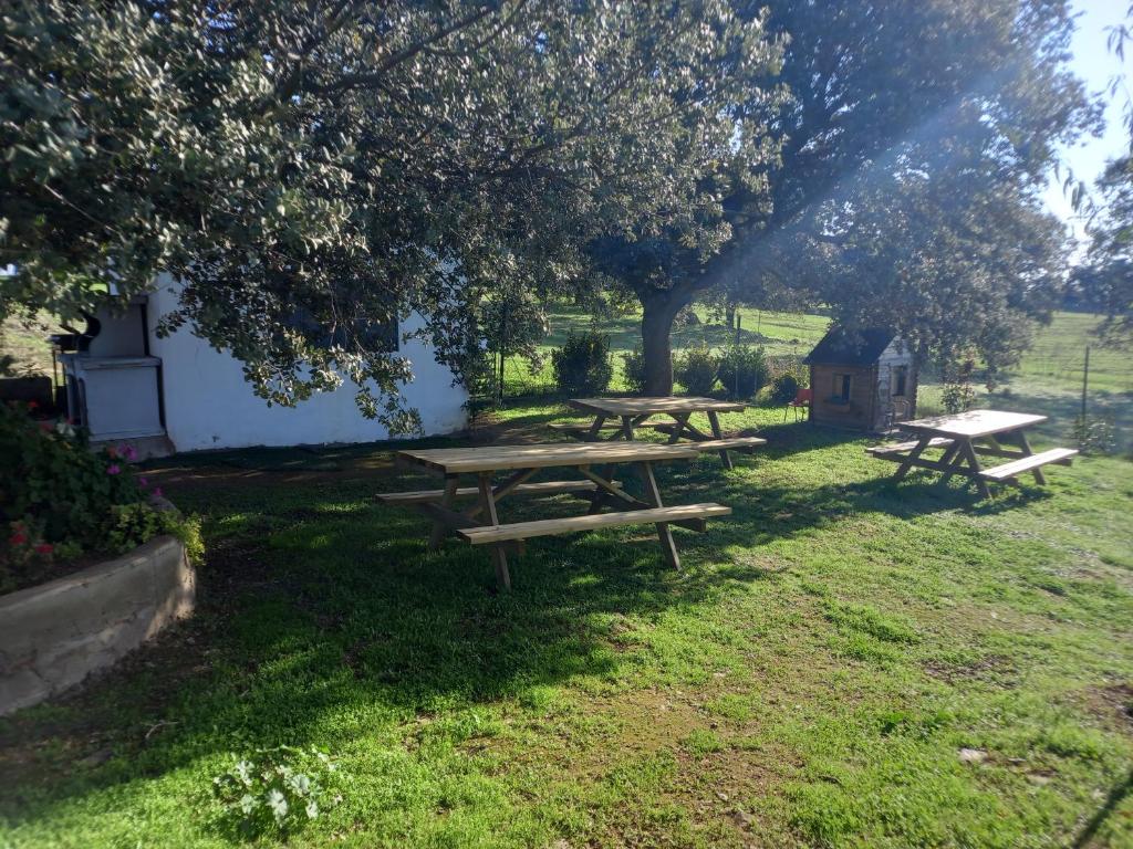 Zahrada ubytování CASA RURAL LA HOJA EL VALLE