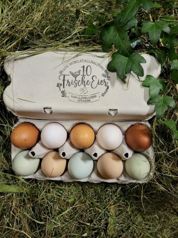 Foto sihtkohas Egg asuva majutusasutuse Ausblickhof Geiger galeriist