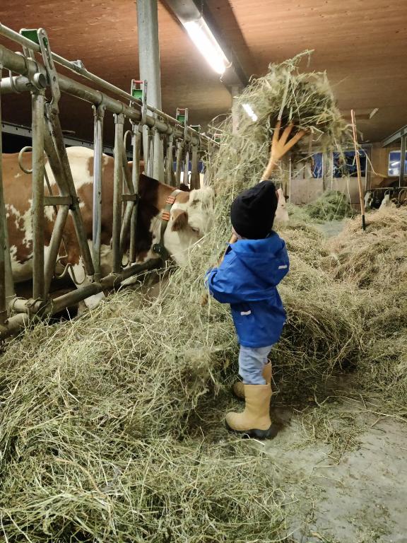 Majutusasutuses Ausblickhof Geiger peatuvad lapsed