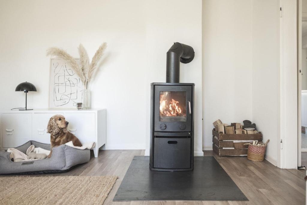 Fotografie z fotogalerie ubytování Hygge-Hus v destinaci Hemme