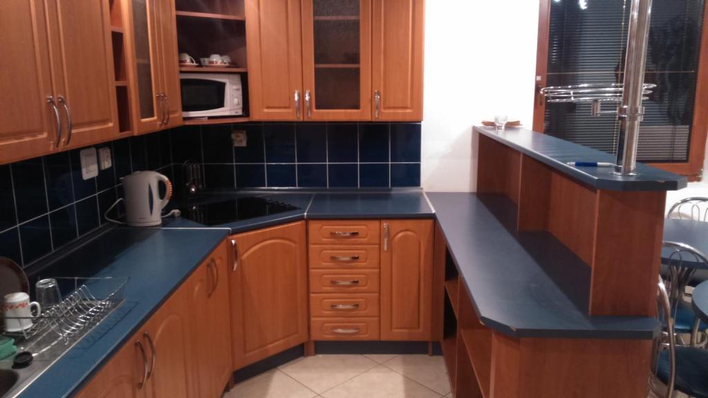 Kuchyň nebo kuchyňský kout v ubytování Guest House Zuzana
