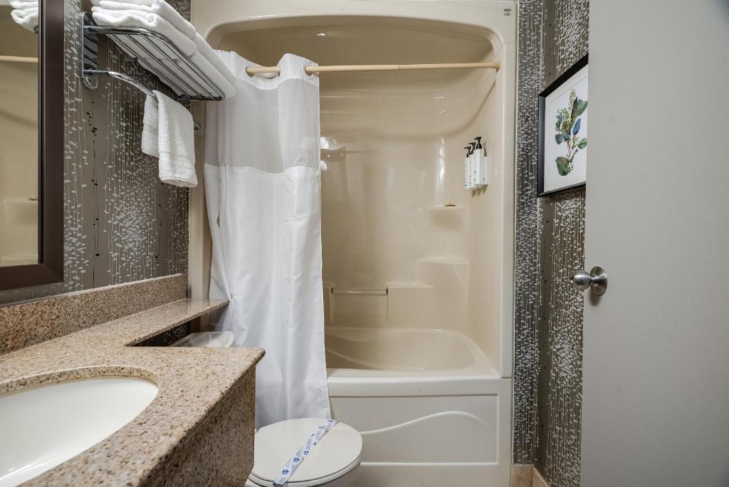 Koupelna v ubytování Monte Carlo Inn Toronto West Suites