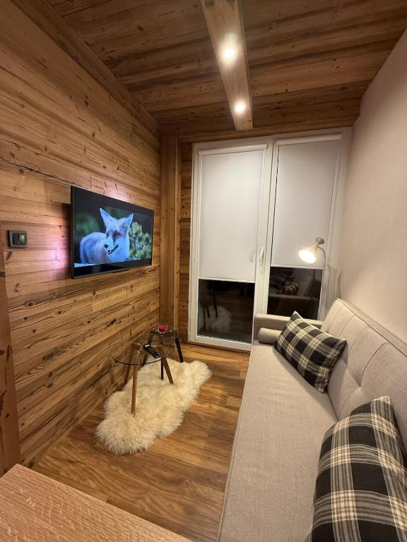 TV a/nebo společenská místnost v ubytování Apartment Líška with view of High Tatras and private sauna