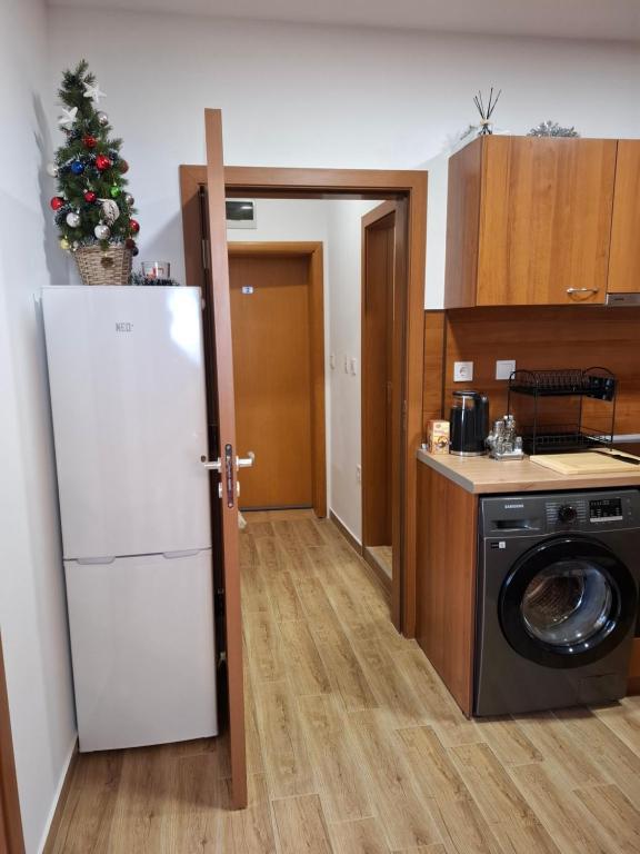 Kuchyň nebo kuchyňský kout v ubytování Двуспален апартамент Милена в хотел Росица,Пампорово