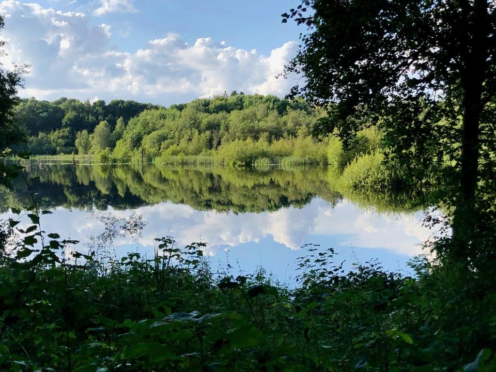 Příroda nedaleko apartmánu