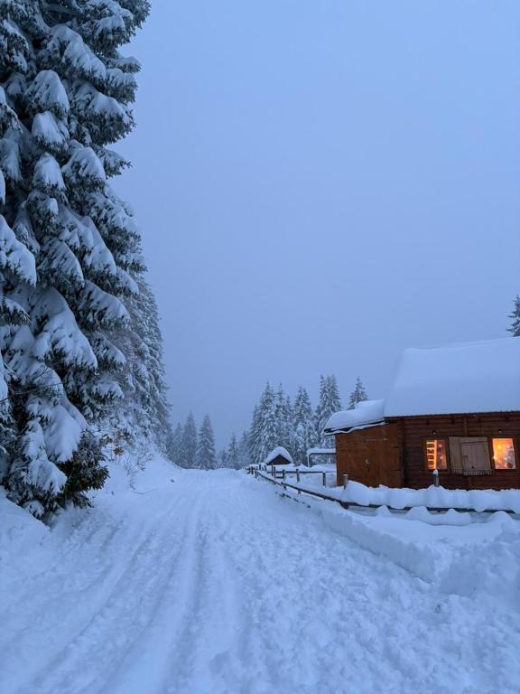 Vikendica Čarolija v zimě