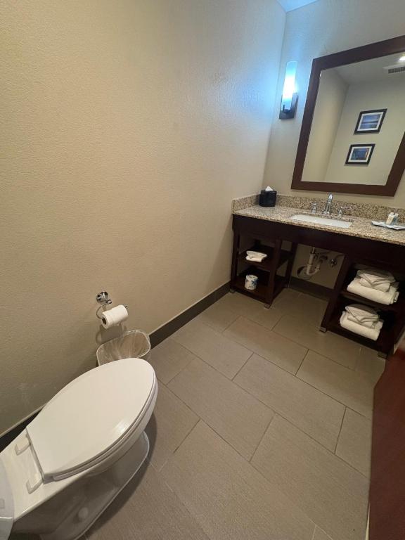 Comfort Suites Near Denver Downtown - 