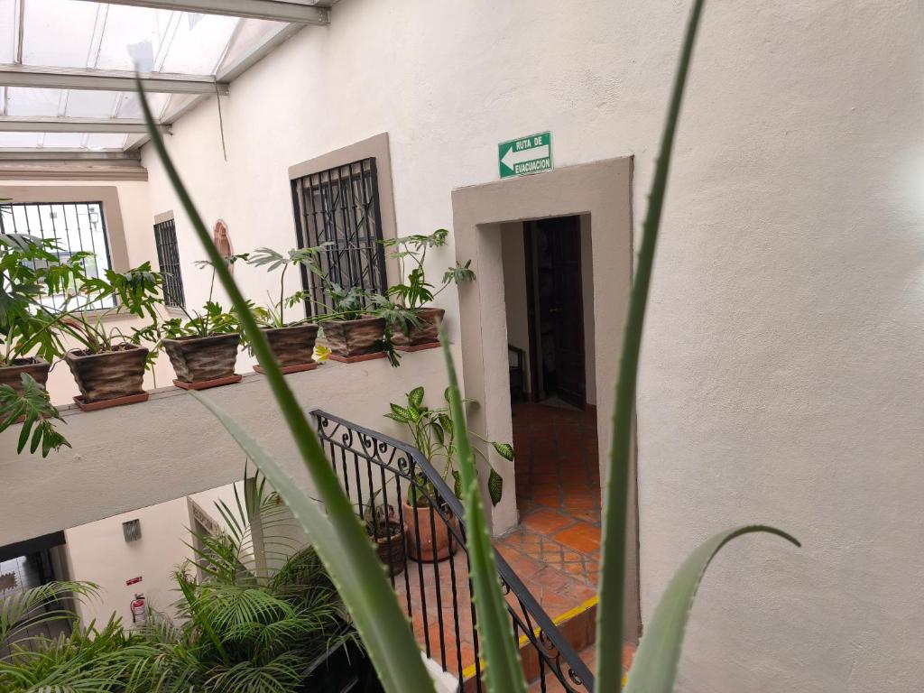 Fotografie z fotogalerie ubytování Hotel Casa Morena v destinaci San Miguel de Allende
