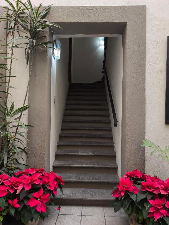 Fotografie z fotogalerie ubytování Hotel Casa Morena v destinaci San Miguel de Allende