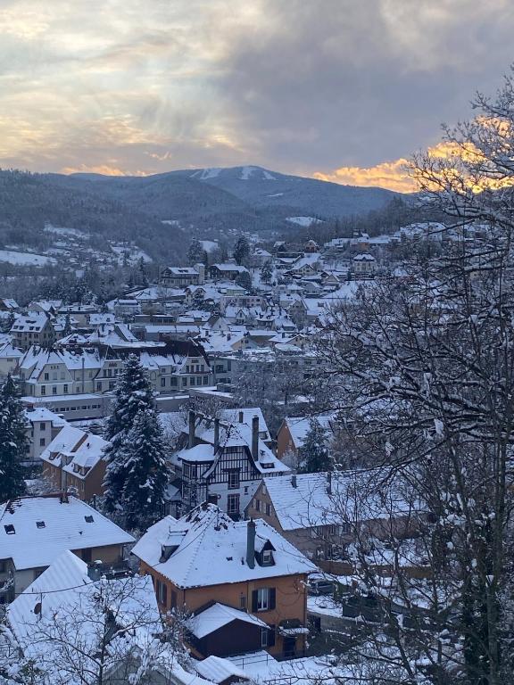 Owasen – photo 12