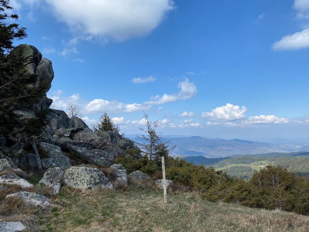 Owasen – photo 16
