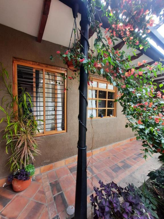Zahrada ubytování Hostal Suite Le Fabrique