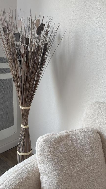 un vase rempli de fleurs séchées dans le salon dans l'établissement Le cosy Parking gratuit piscine terrain de tennis, à Castelginest