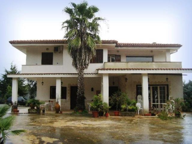 a large house with a palm tree in front of it at Villa Mado in Ceglie Messapica