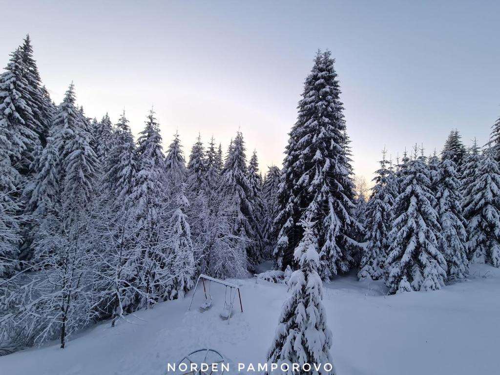 NordenPamporovo during the winter