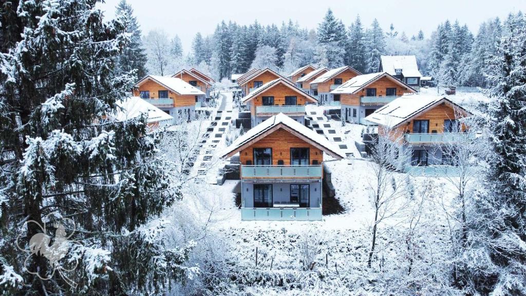 Hahnenklee Ferienchalets v zimě