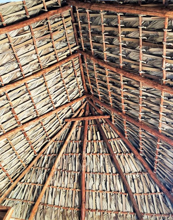 Fotografie z fotogalerie ubytování Proyecto Clandestino v destinaci Boca del cielo