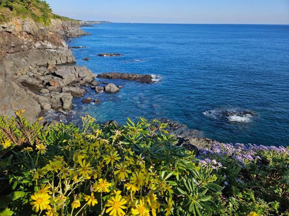a view of a body of water with flowers at Seogwipo Tre Pension in Seogwipo