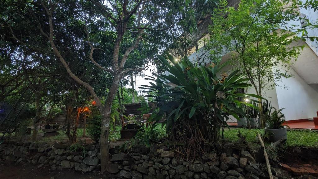 un jardin avec des arbres et un mur en pierre dans l'établissement Mango tree view holiday house, à Tangalle