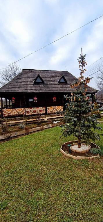 a tree in a yard in front of a building at Vlad De Săliște in Săliştea de Sus
