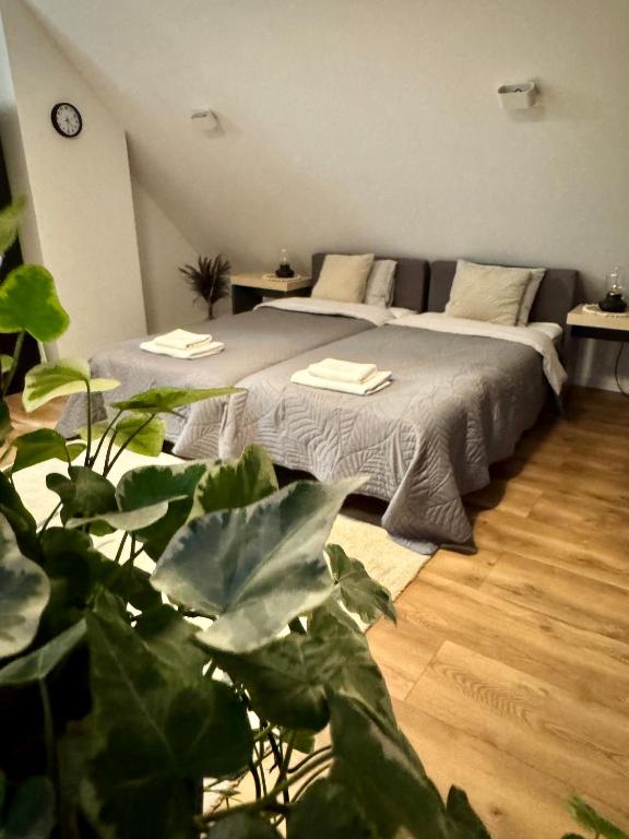 a bedroom with a bed and a large plant at Apartamenty Astor - Księżycowy in Szczawno-Zdrój