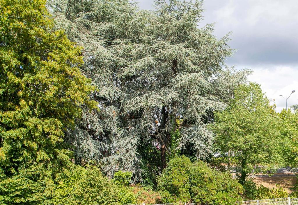 B&B HOTEL Nantes Parc Expos La Beaujoire - Resim 36