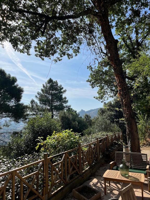 une clôture en bois avec des bancs et un arbre dans l'établissement Casa Patoche sur les hauteurs de Saint-Péray, à Saint-Péray
