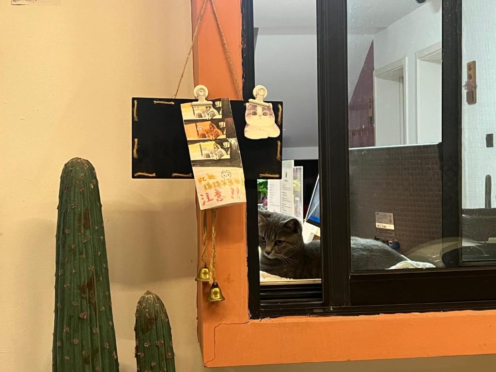 a cat sitting in a window next to a cactus at Shanghai Guiwu Village Near Disney Resort in Shanghai