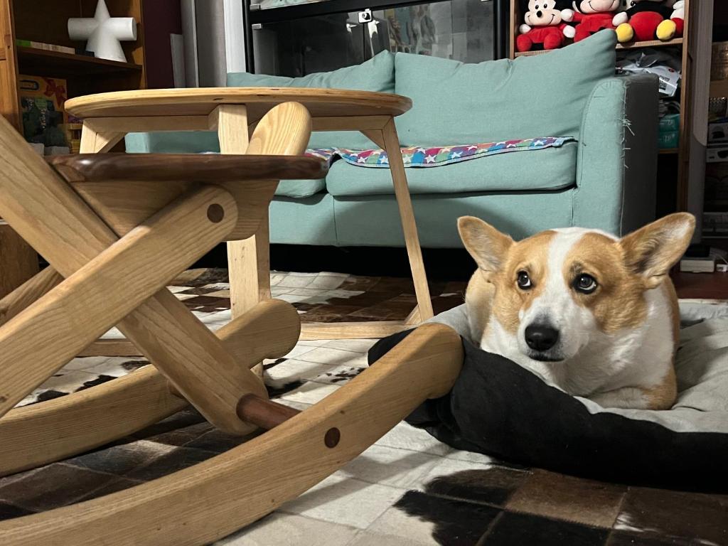 a dog laying in a dog bed next to a chair at Shanghai Guiwu Village Near Disney Resort in Shanghai