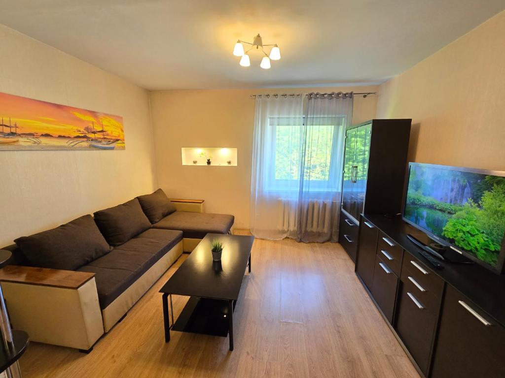 TV a/nebo společenská místnost v ubytování Z15 River Apartment