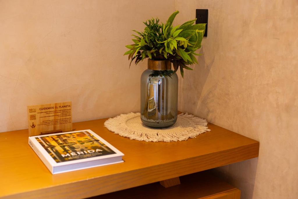 Fotografie z fotogalerie ubytování DECU DOWNTOWN v destinaci Mérida
