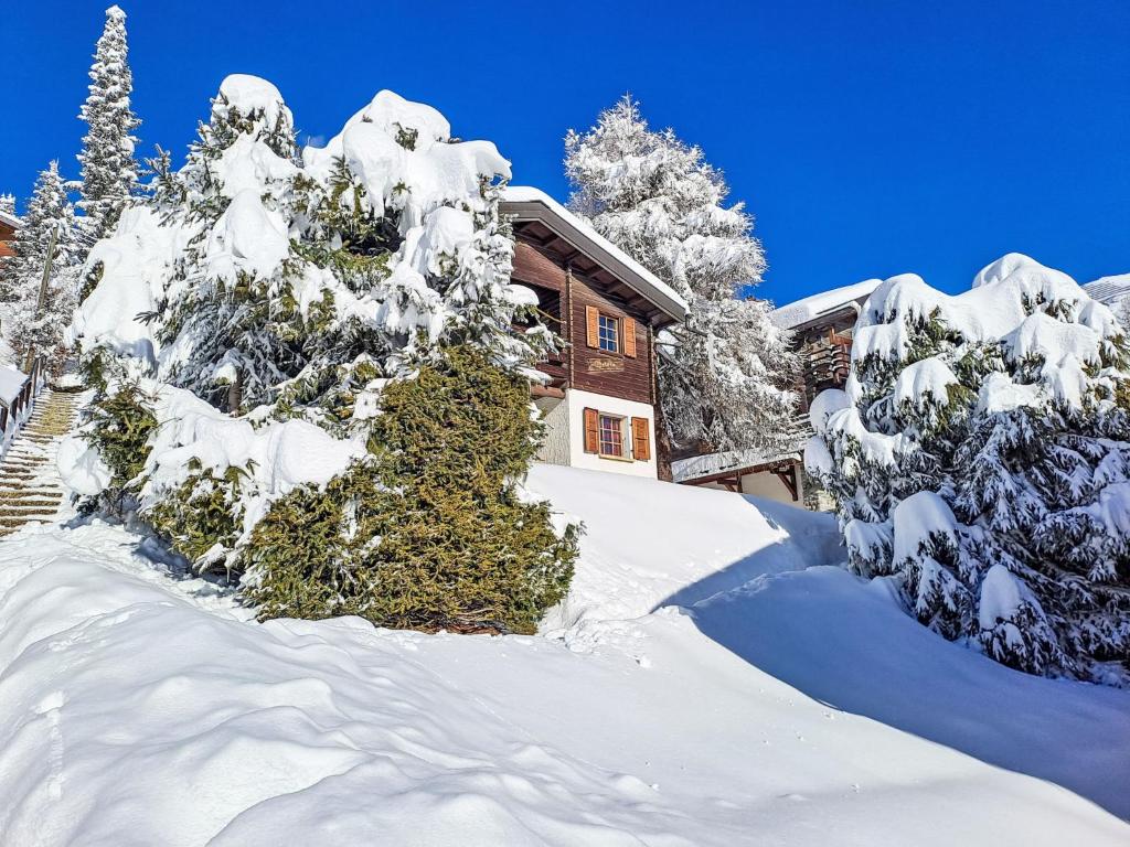 een huis bedekt met sneeuw voor de bomen bij Chalet Brisca by Interhome in Verbier