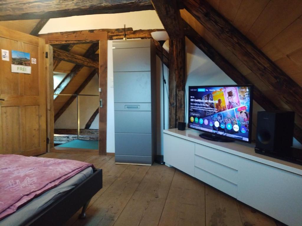 TV a/nebo společenská místnost v ubytování Gurten Galerie Zimmer CLOSE