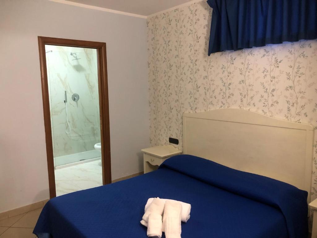 Hotel Serena - Resim 13